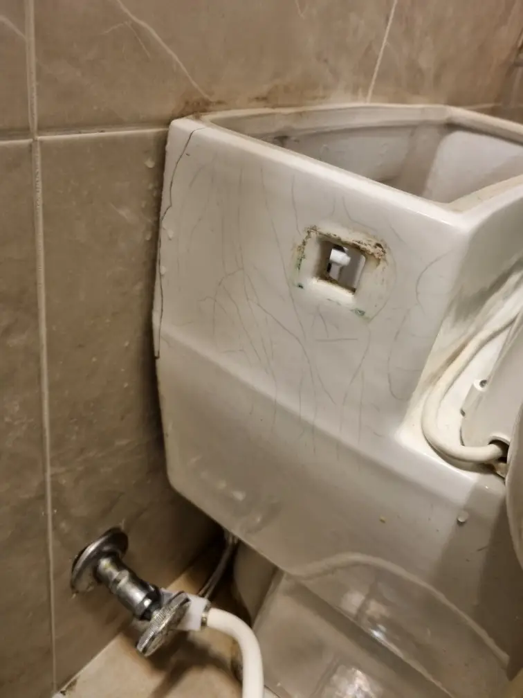 ??????